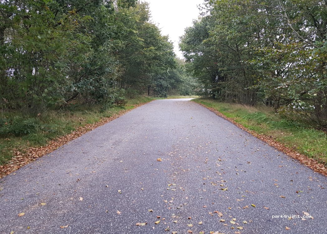(9881) Bindslev - Skagensvej — foto 2