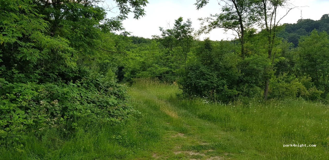 (225200) Orșova - Strada Pamfil Șeicaru — foto