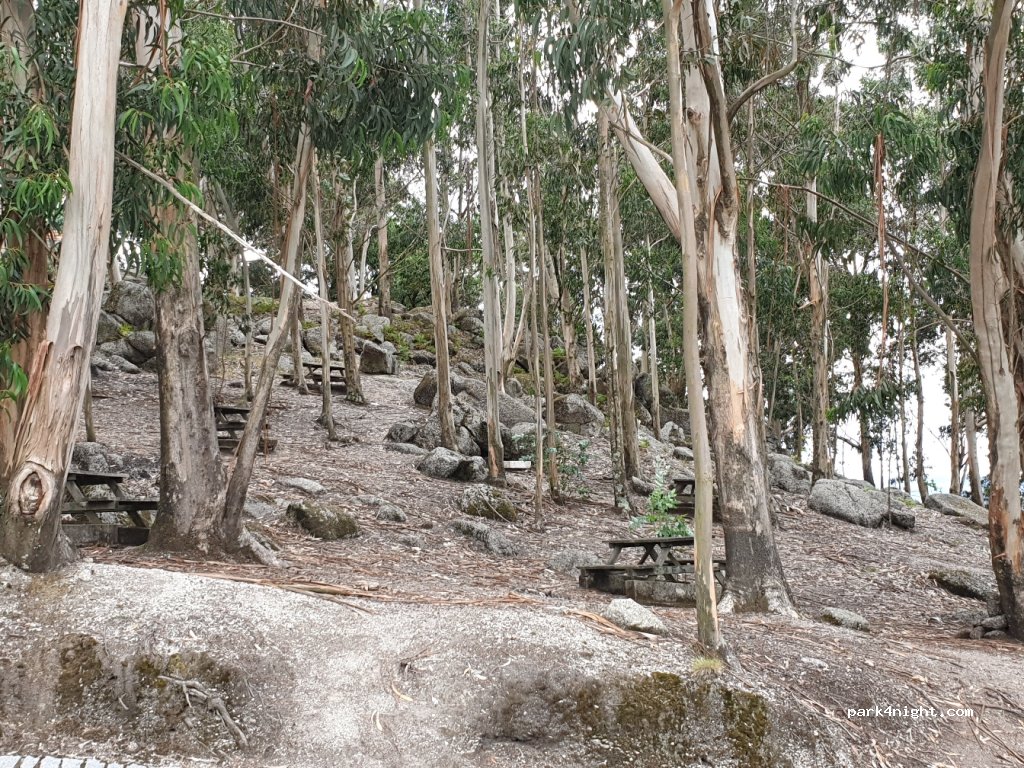 (4805) Nespereira - Unnamed Road /  Capela das Senhoras do Monte, Serzedelo — foto 2