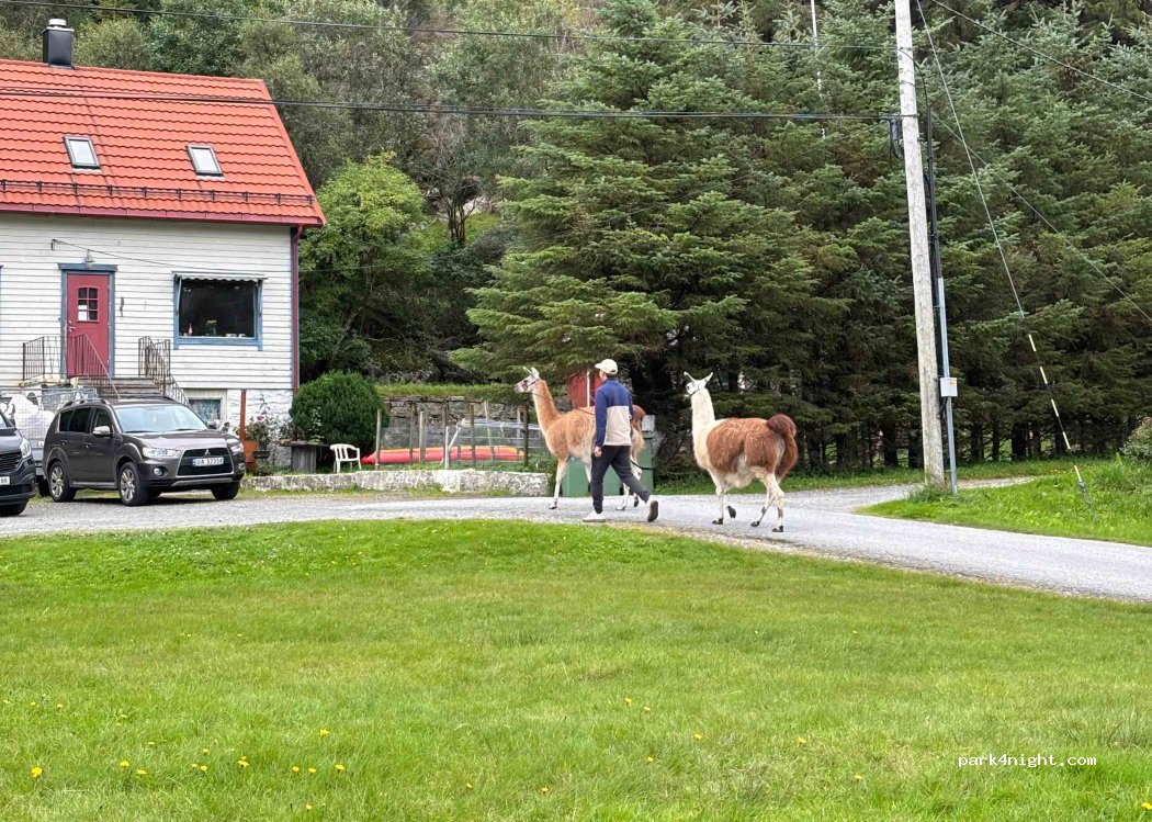 Vestkapp Camping — foto 4