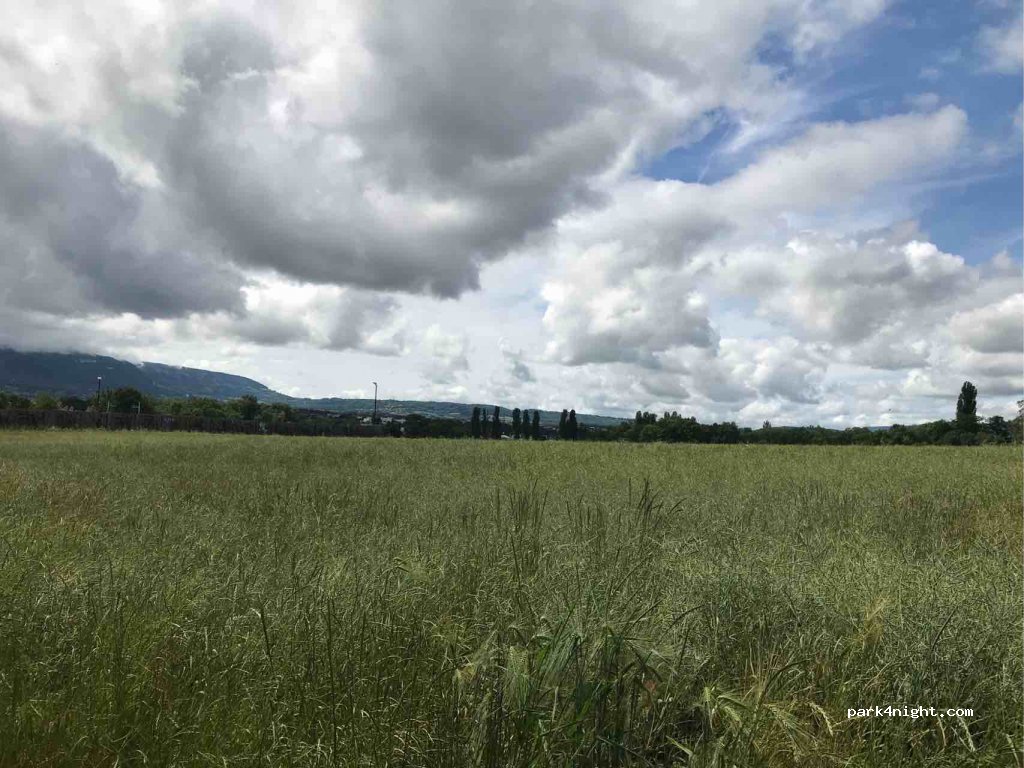 (1232) Confignon - 46 Chemin des Marais — foto 2