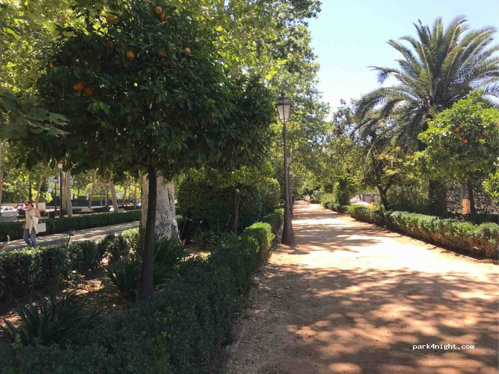 (18008) Granada - 7 Paseo de la Bomba — foto 2