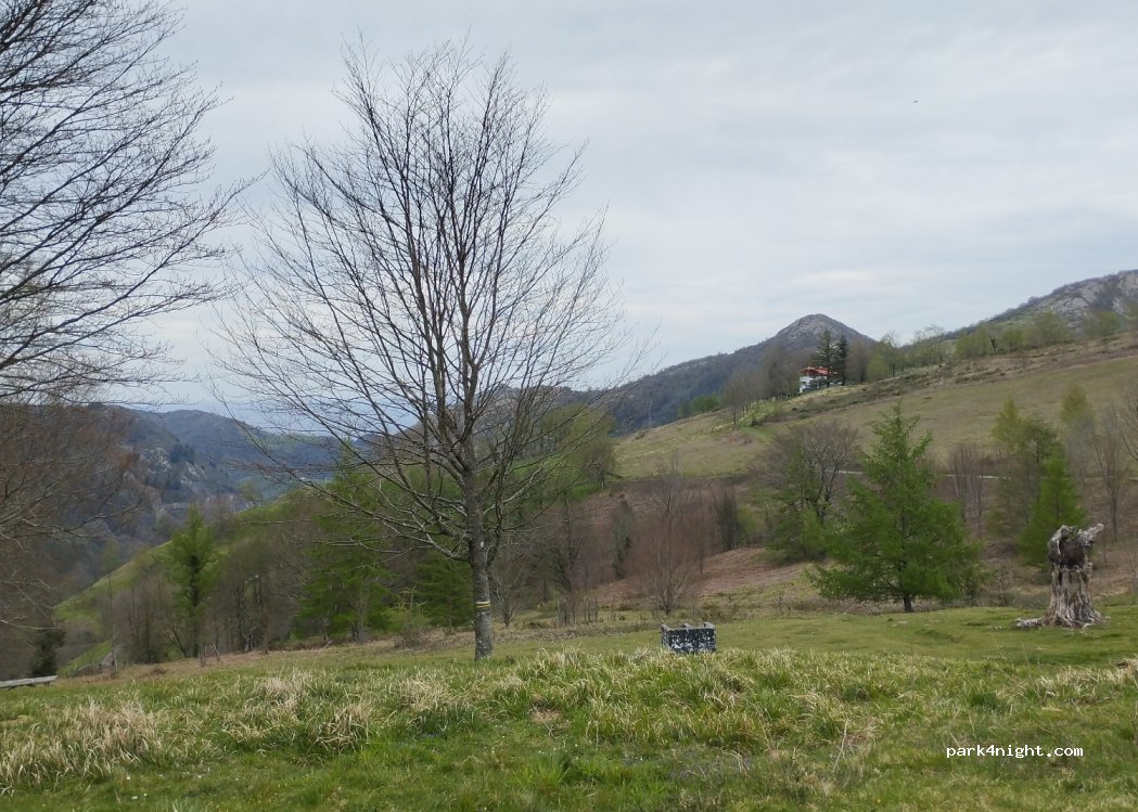 (20720) Azkoitia - 97 Madariaga Auzoa — foto 3