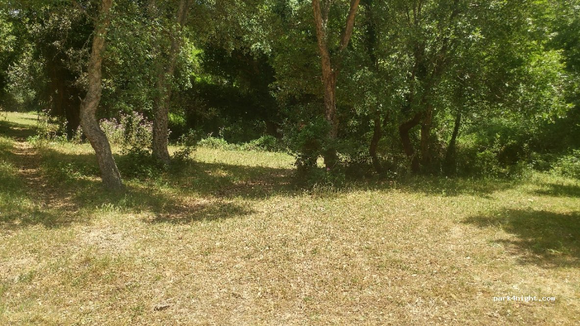 (20112) Olmiccia - Unnamed Road — foto