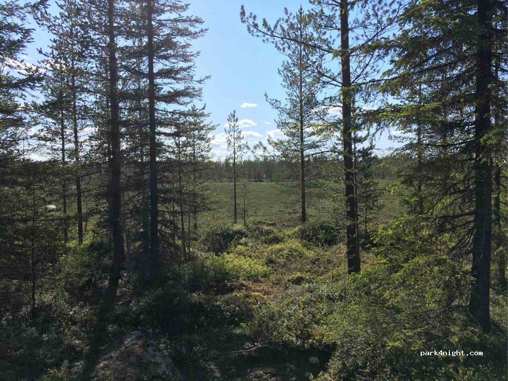 (933 91)  - Unnamed Road — foto 2