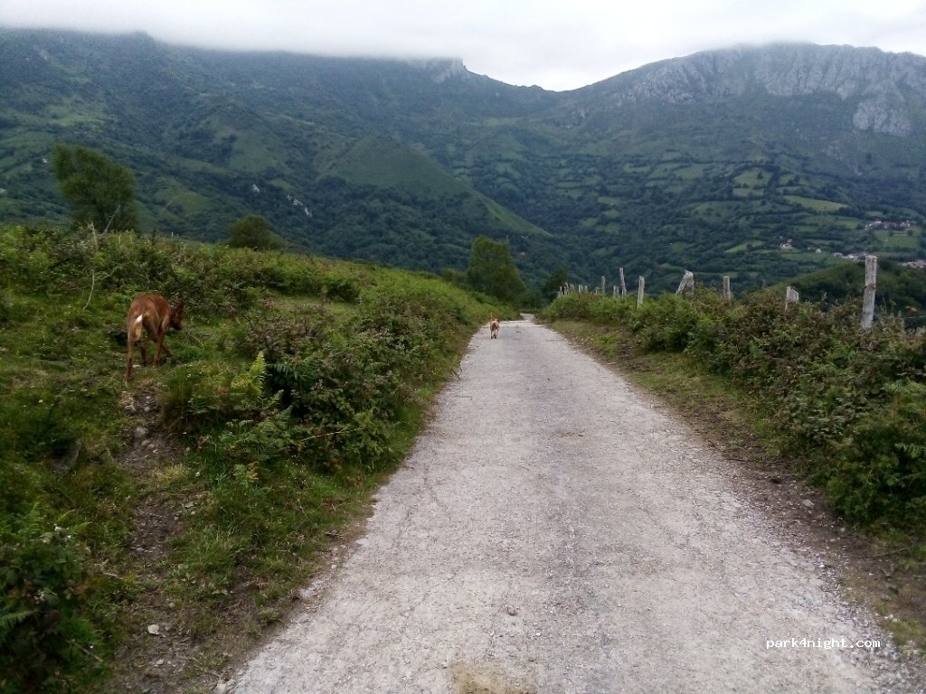 (33160) Riosa - Carretera a L'Angliru — foto 4