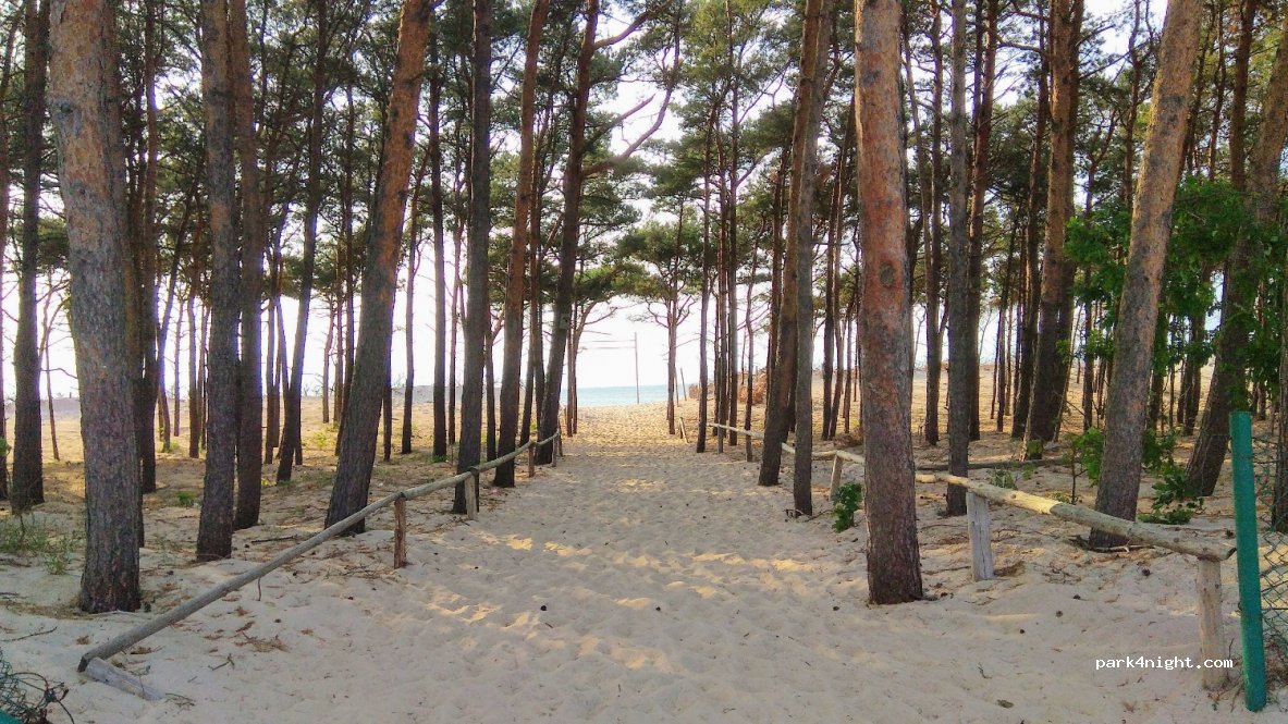 Wagabunda — foto 2