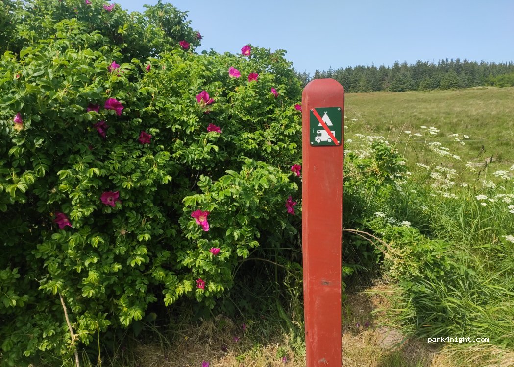 (9850) Hirtshals - 4 Russerbakkevej — foto 5