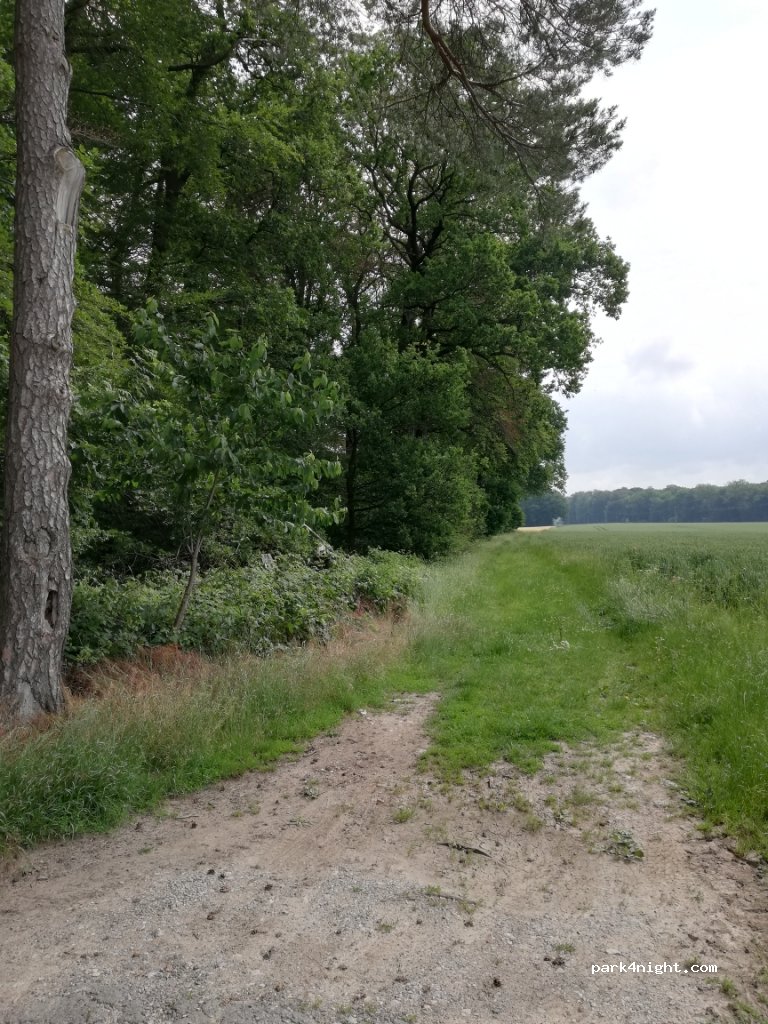 (33142) Büren - 1 Striepen — foto
