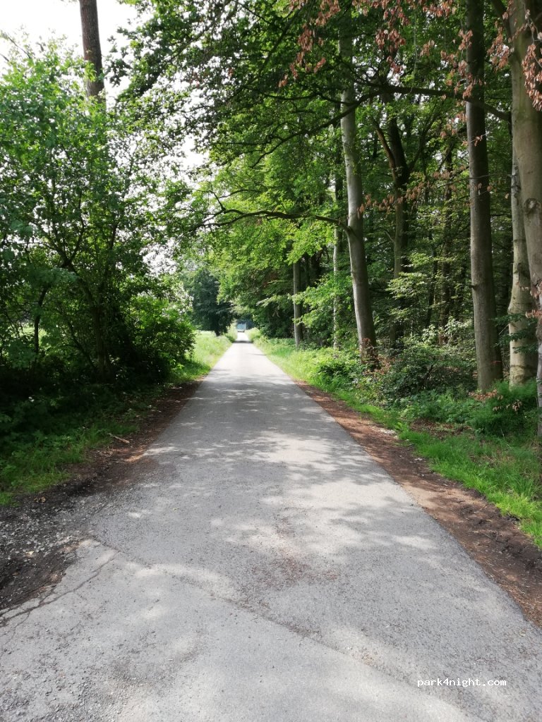 (33142) Büren - 1 Striepen — foto 3
