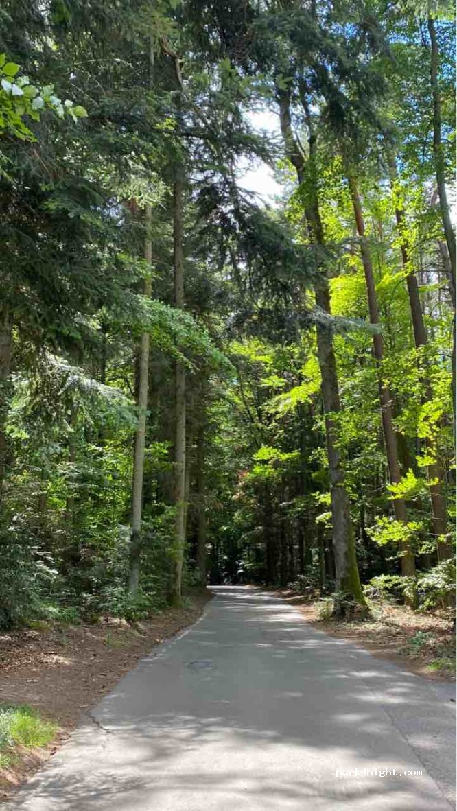 (75181) Pforzheim - Hohenwarter Straße — foto 2