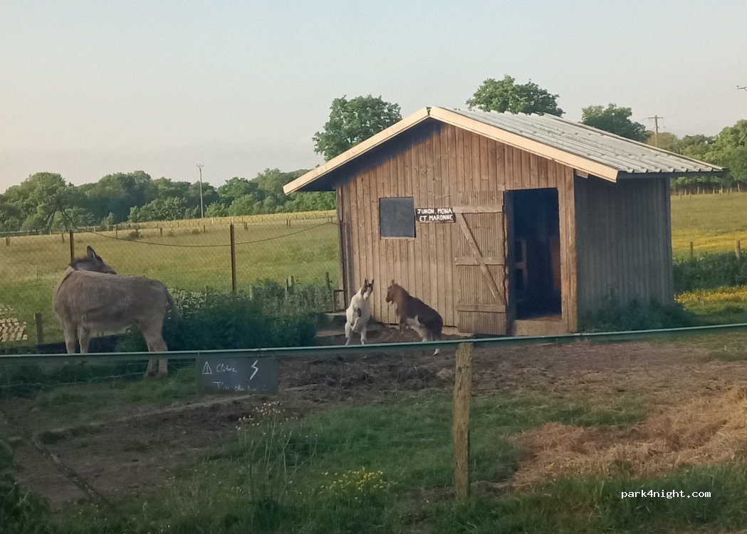 Ferme Brin de Laine Brin de Paille — foto 5