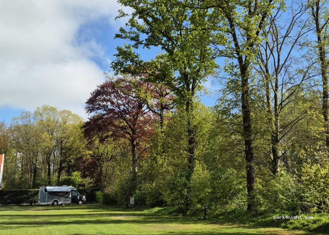 Camping Sevink Molen — foto 4