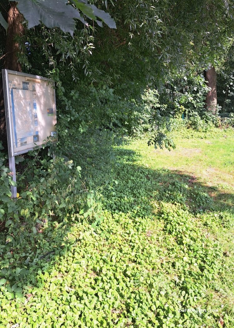 (26388) Wilhelmshaven - 2 Möwenstraße — foto 4