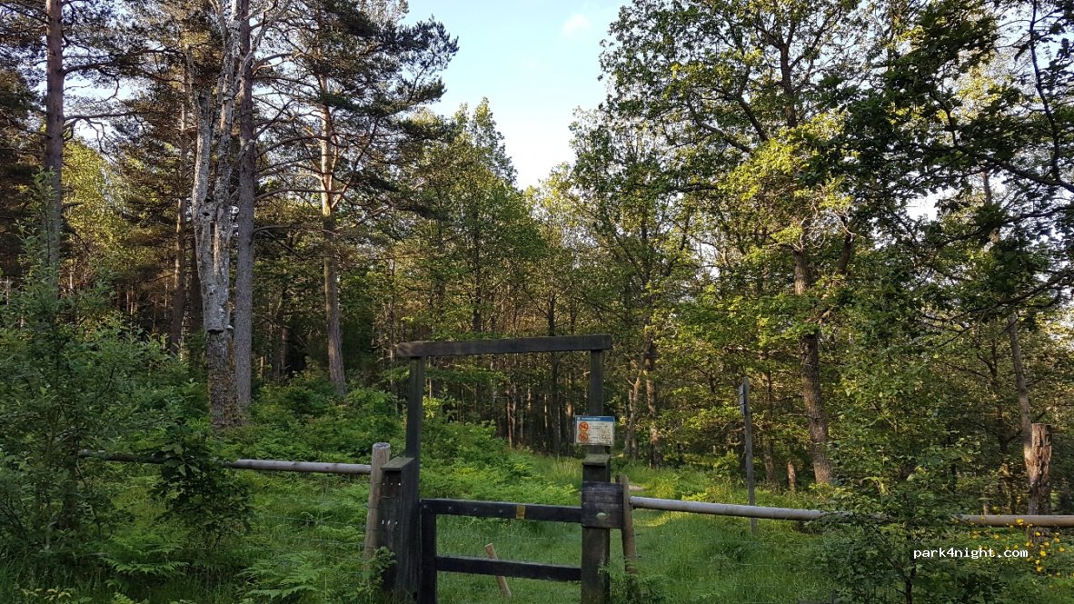 (449 70) Vättlefjäll - Mollsjövägen — foto 2