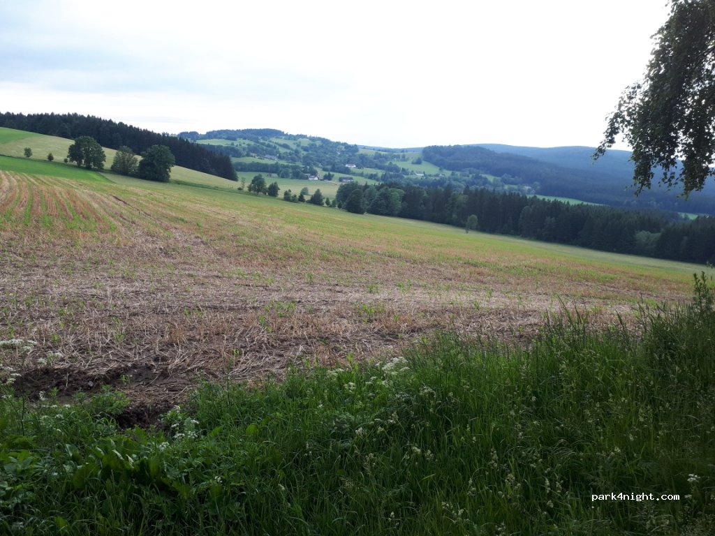 (592 03) Sněžné - 354 — foto