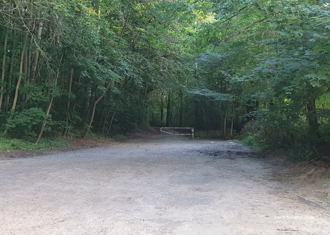 (18059) Rostock - Tiergartenallee — foto 4