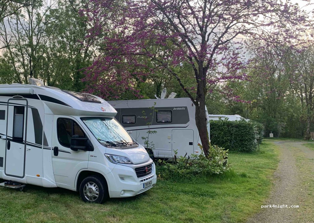 Camping island marsh — foto 4