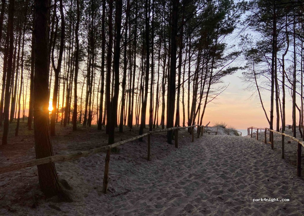 AraCamp 107 — foto 4