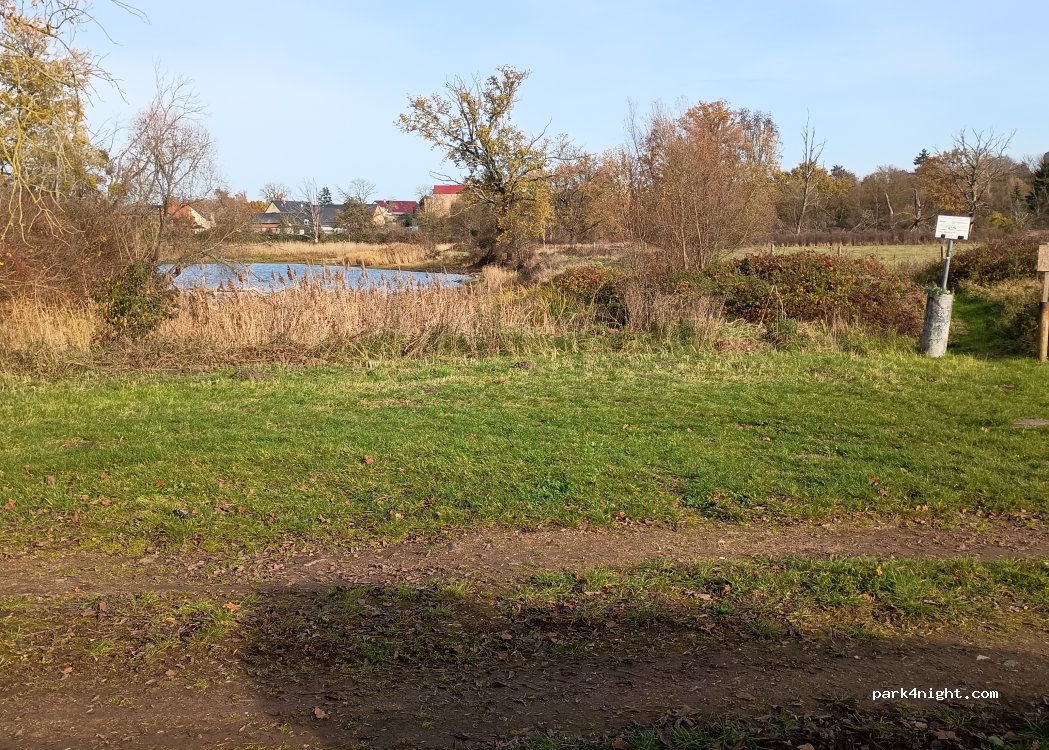 (39264) Steutz - B187a — foto 4