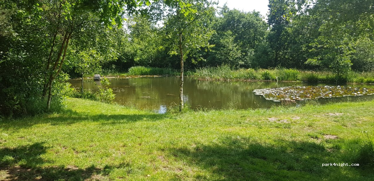 (6660) Lintrup - Dover Kirkevej — foto 2