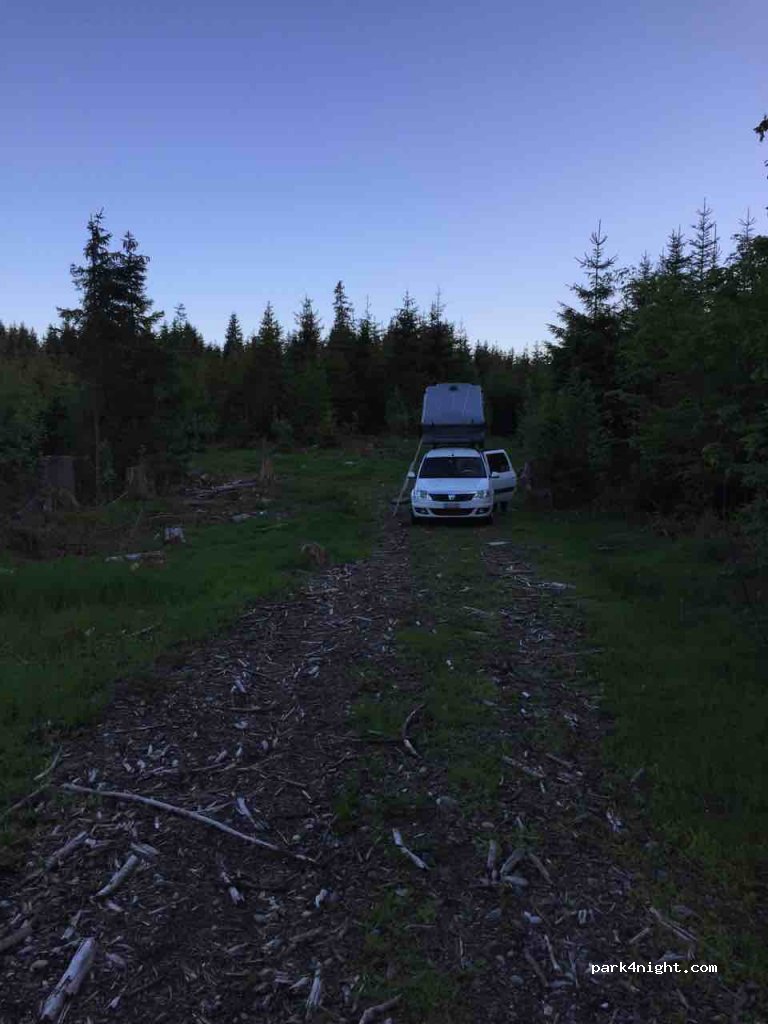 (79865) Grafenhausen - K6519 — foto 2