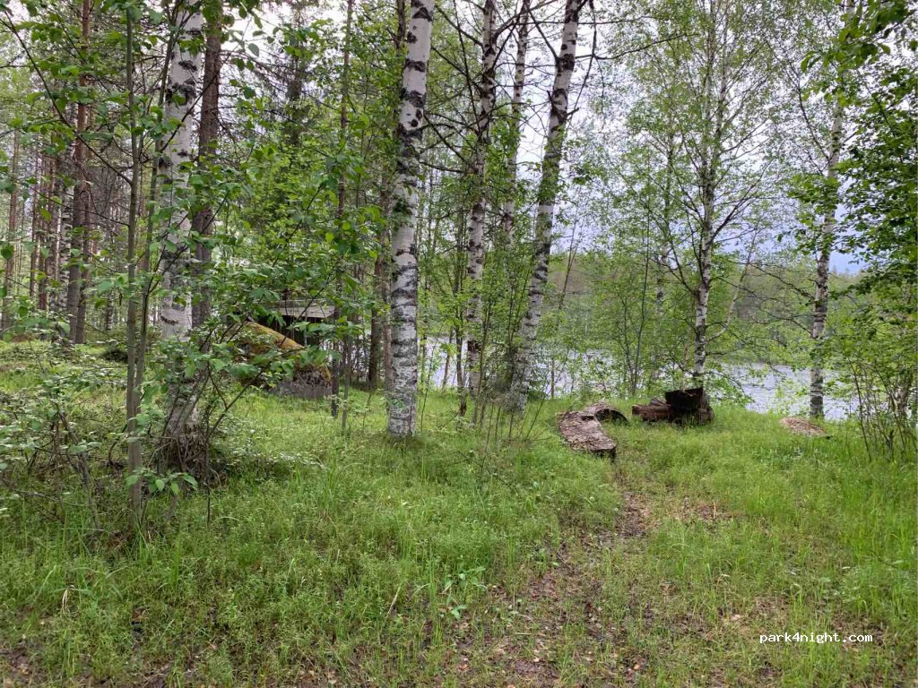 (43100) Saarijärvi - 1246 Pajupurontie — foto