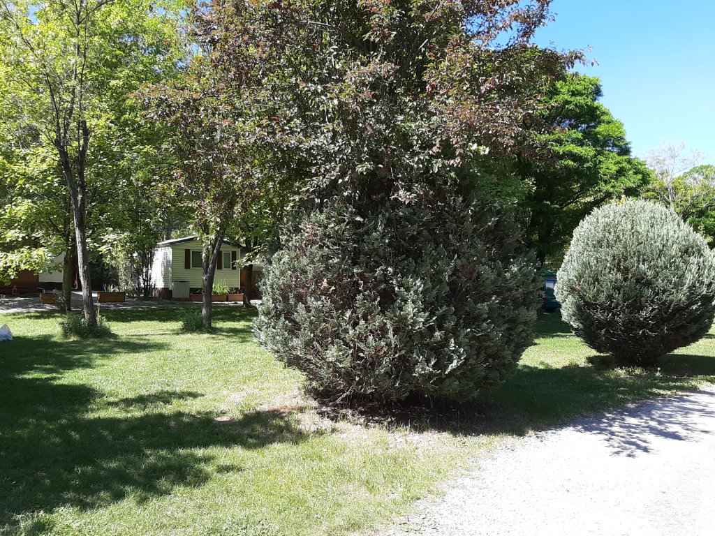 Camping les Gorges Blanches — foto 3