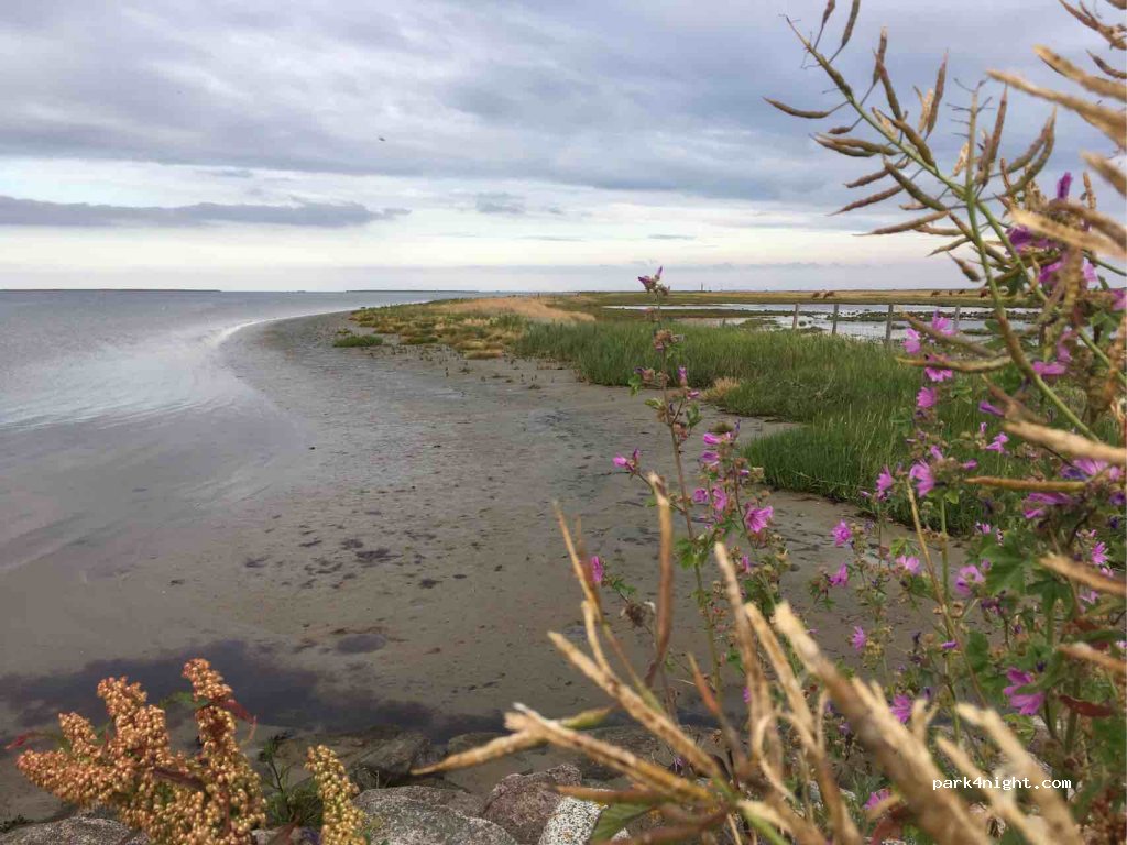 (8950) Ørsted - 277 Rougsøvej — foto
