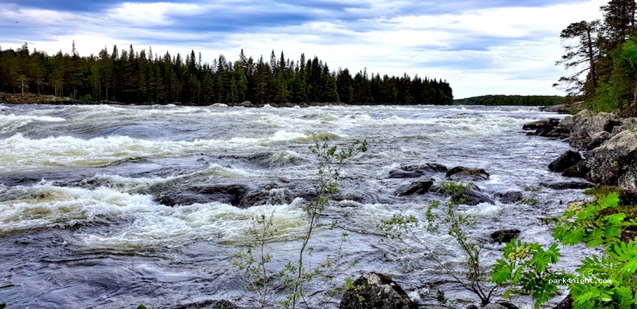 (920 34)  - Forsarnas väg — foto