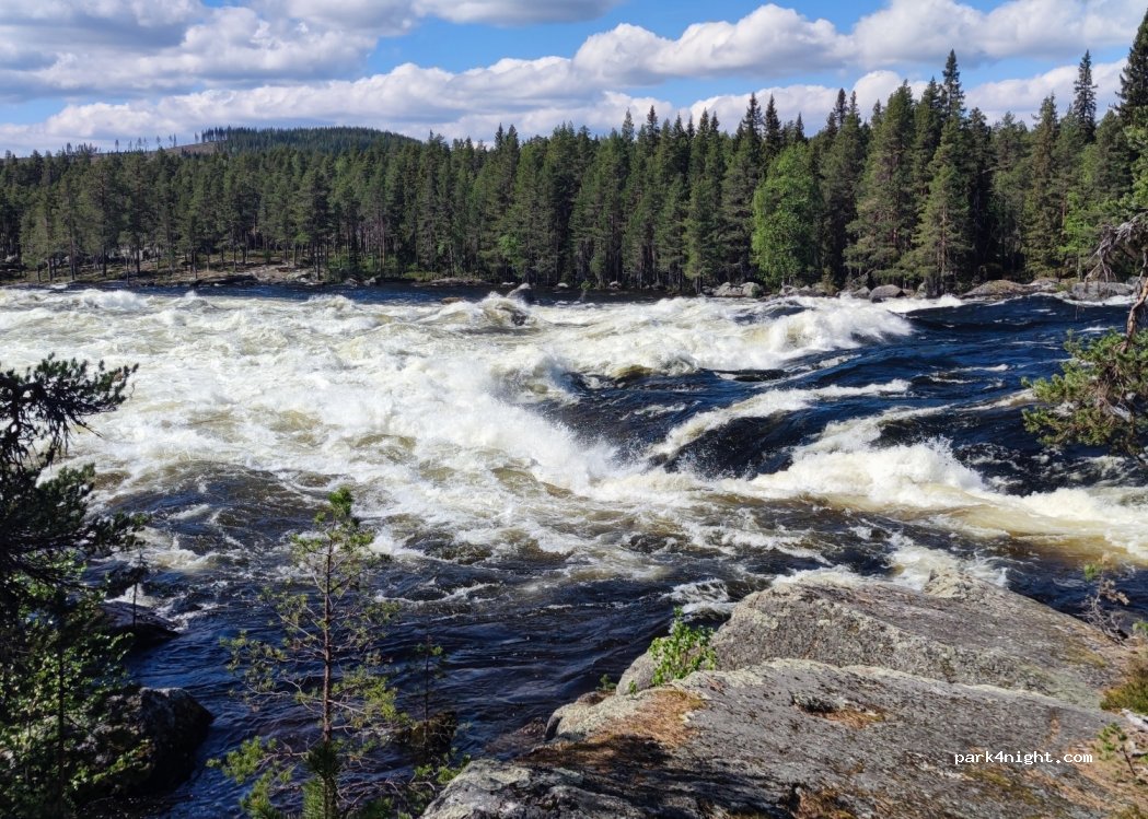 (920 34)  - Forsarnas väg — foto 4