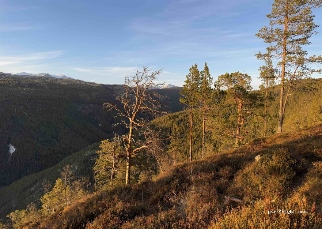 (2670) Otta - 1 Sekundær Fylkesveg 444 — foto 5