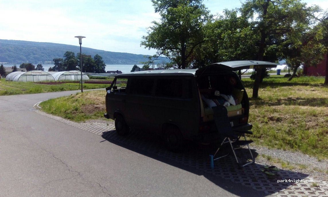 (78479) Reichenau - 27 Im Palmenetter — foto 2