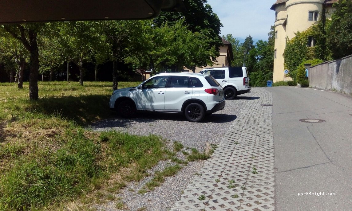 (78479) Reichenau - 27 Im Palmenetter — foto 3