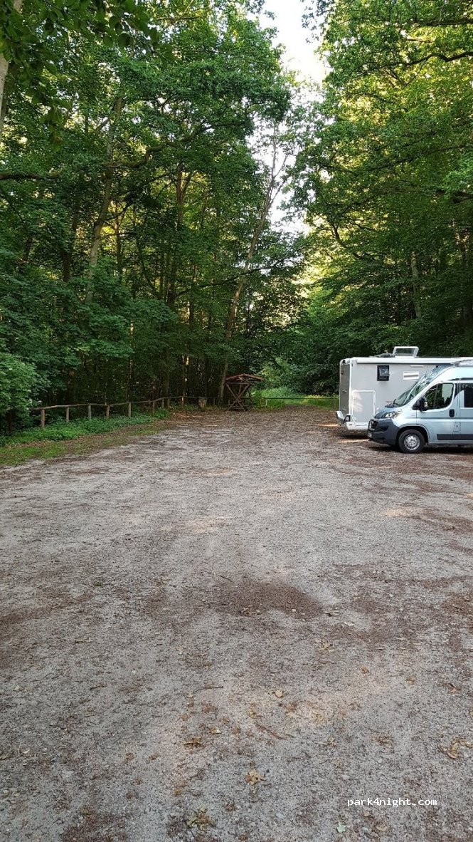 () Röbel/Müritz - Kroneiche — foto