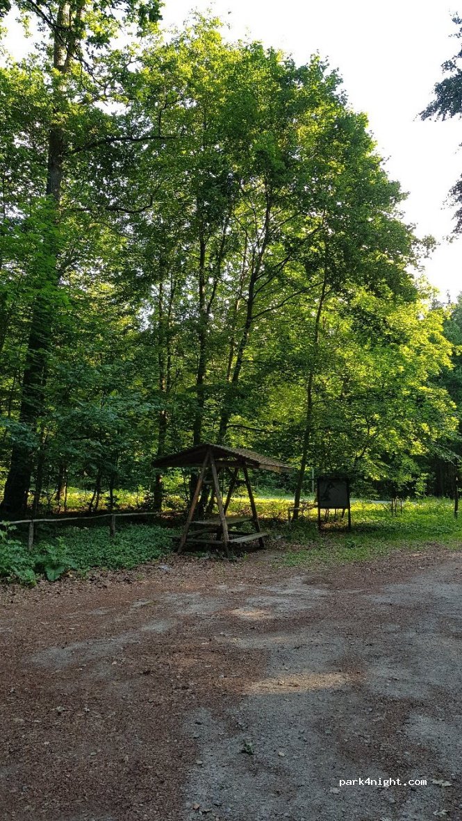 () Röbel/Müritz - Kroneiche — foto 2