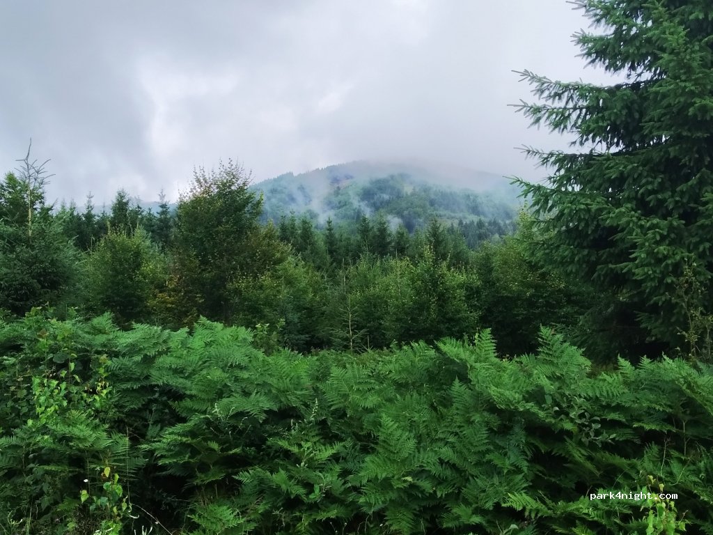 (038 54) Šútovo - Unnamed Road — foto 3