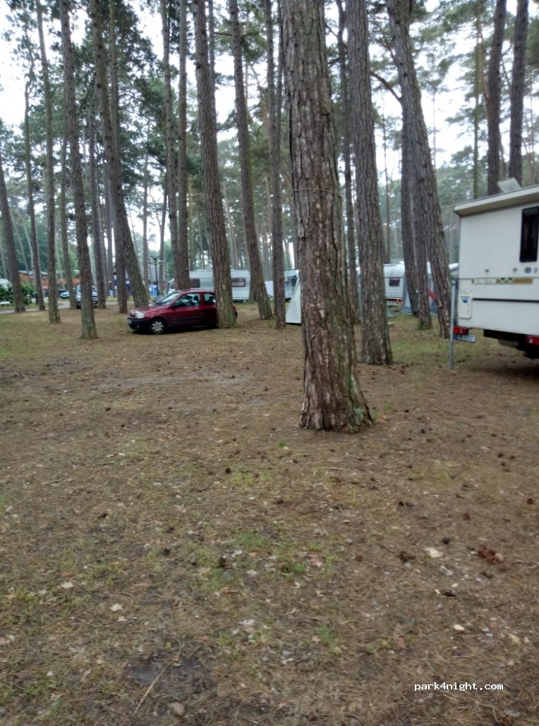 Camping Wiking — foto 2