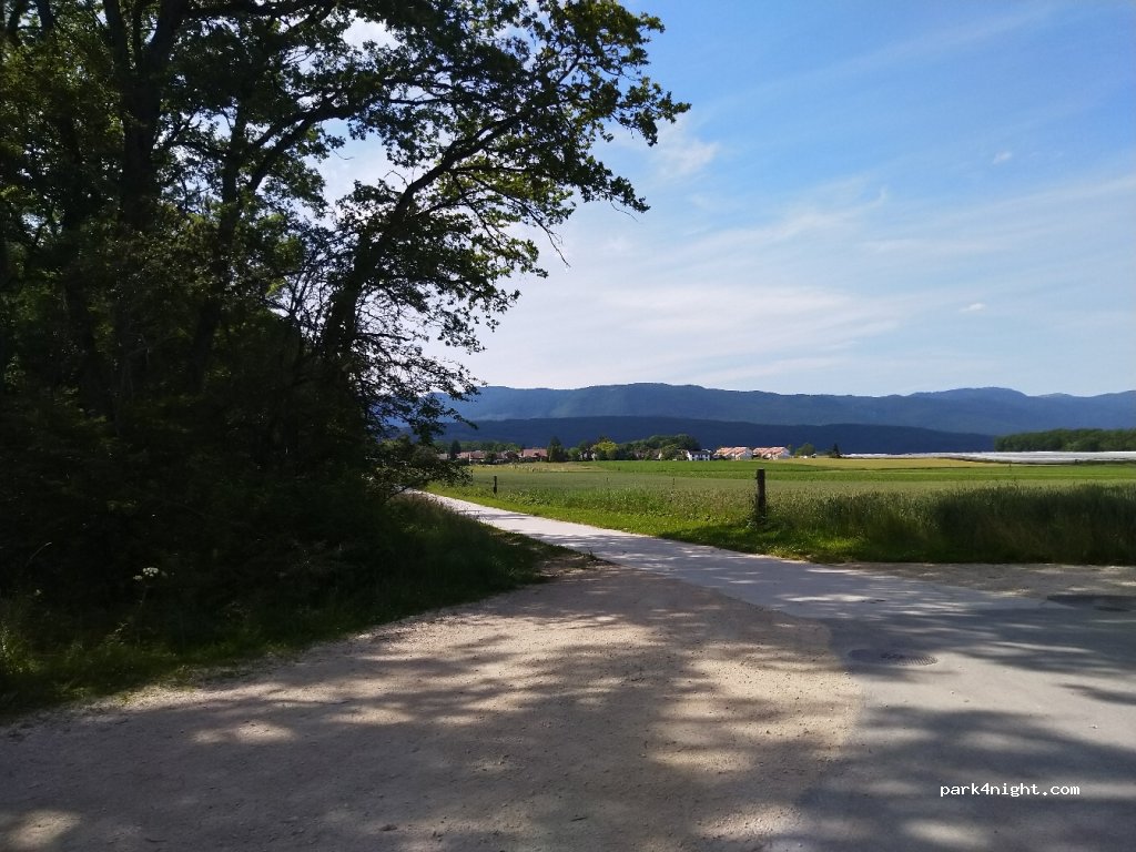(1290) Chavannes-des-Bois - Chemin de la Praley — foto 3