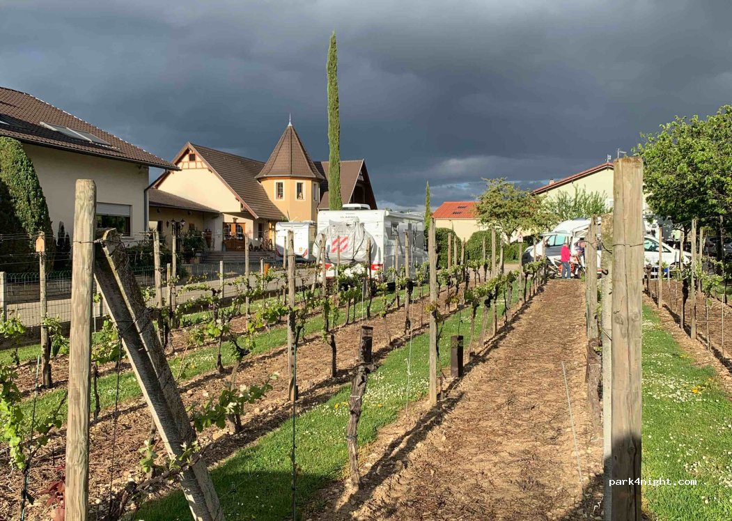 Domaine Walter — foto 5