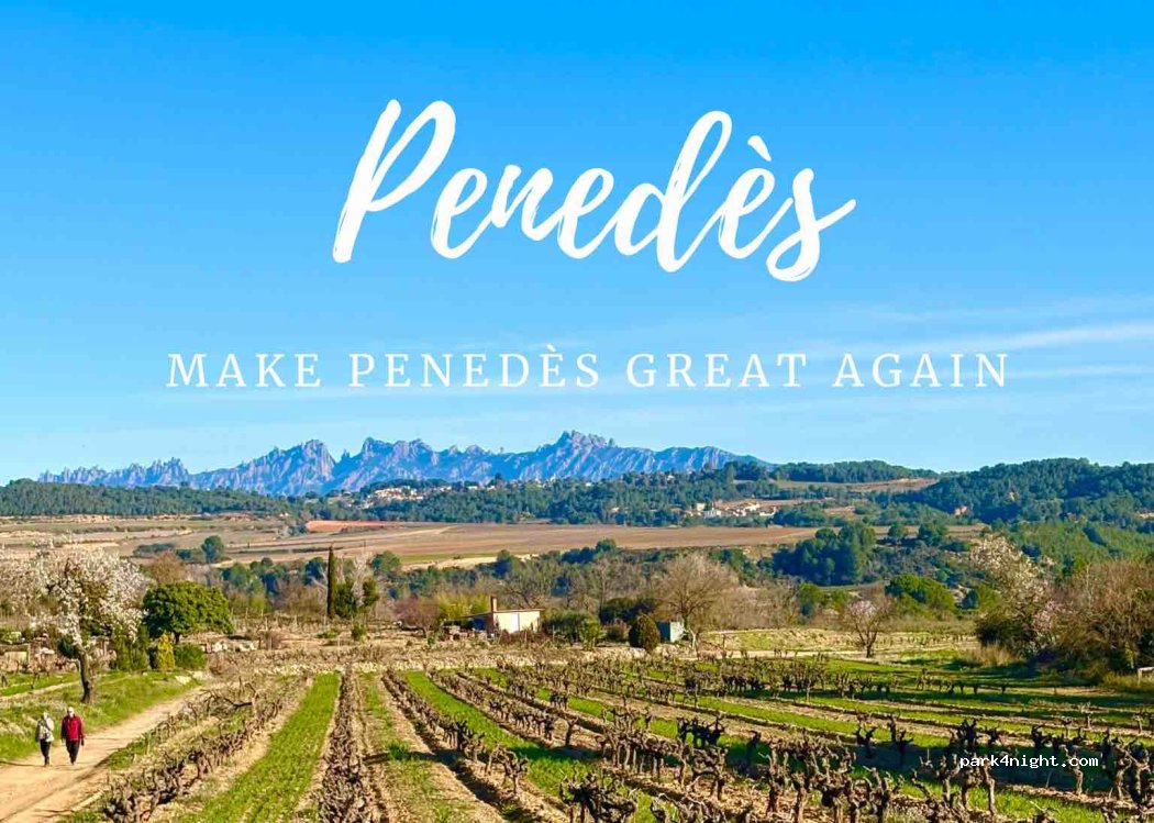 RV Penedès · Sant Sadurní d'Anoia — foto 5