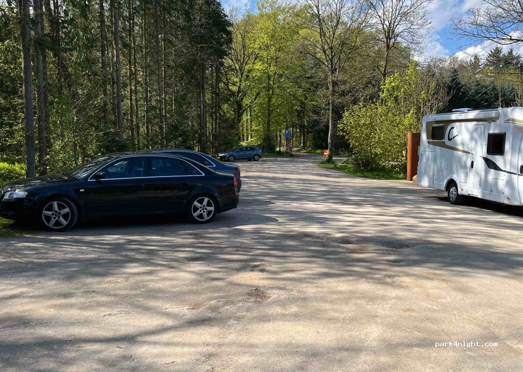 (5500) Middelfart - 3 Staurbyskovvej — foto 4