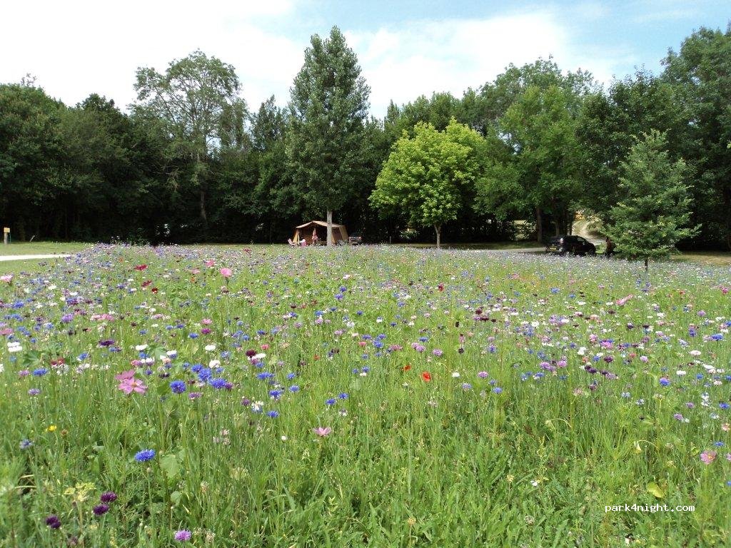 Camping Naturiste — foto