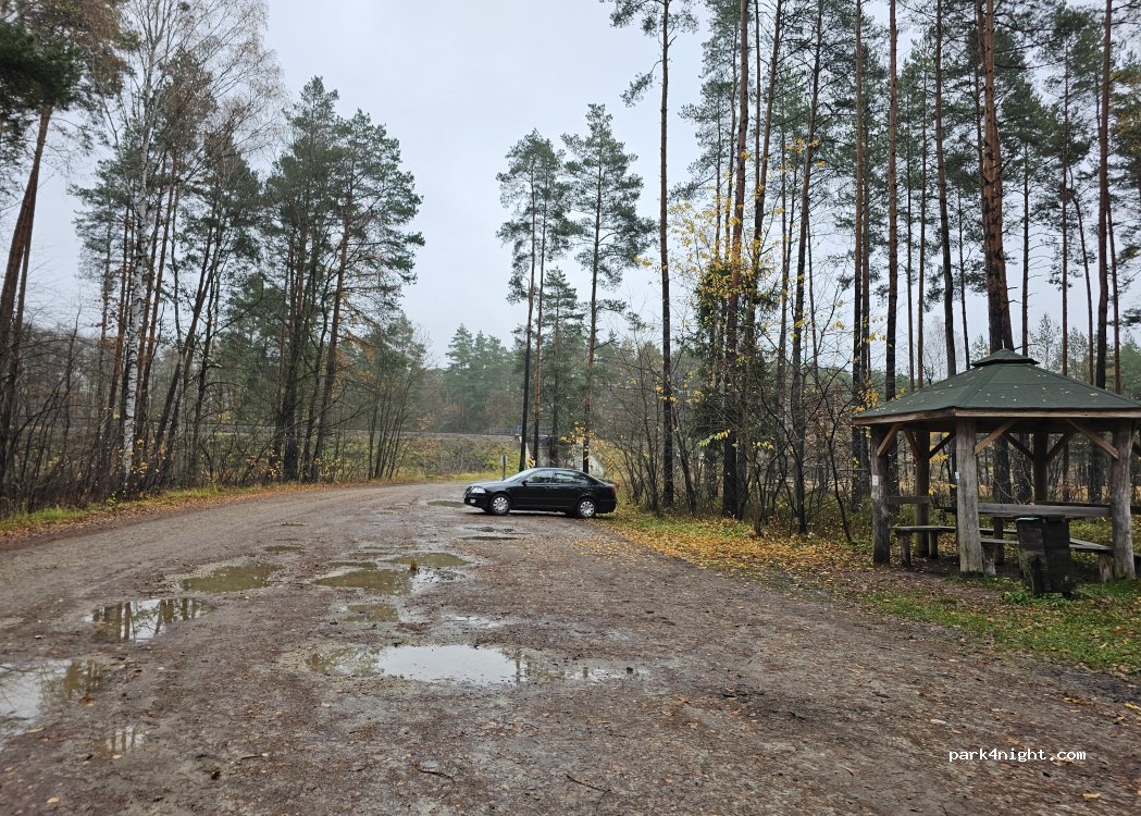 (42) Koszęcin - Droga Wojewódzka 907 — foto