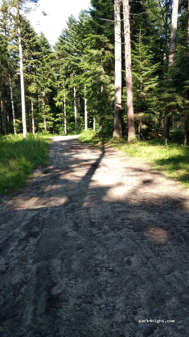 (38-420) Wola Komborska - — foto 2