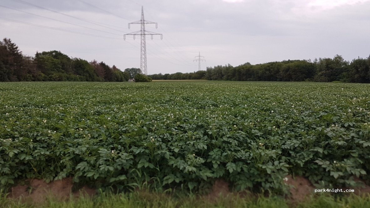 (32469) Petershagen - 5 Dingbreite — foto 4
