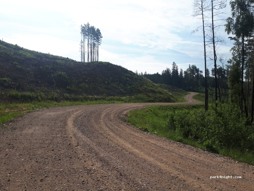 (3129) Smārde - Unnamed Road — foto