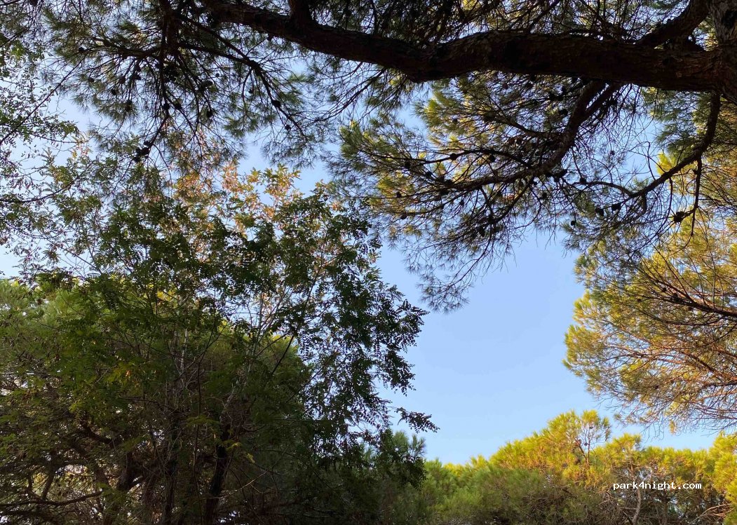 Piomboni Camping Village — foto