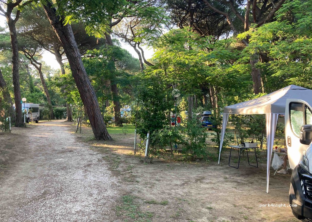 Piomboni Camping Village — foto 4