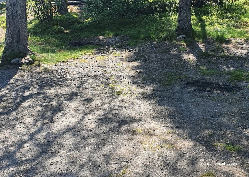 (982 99)  - Unnamed Road — foto 4